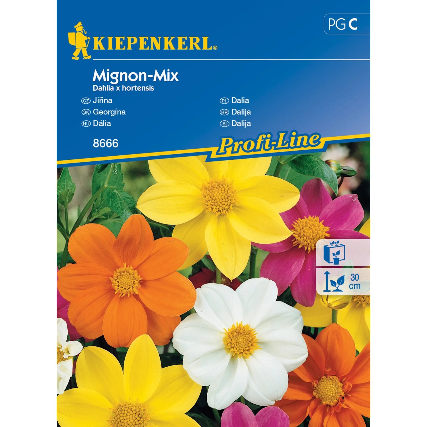 E-shop Kiepenkerl Semienka Georgína Migno mix