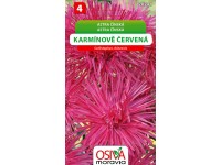 OSIVA Moravia Astra čínska - karmínovo červená (Callistephus chineasis)