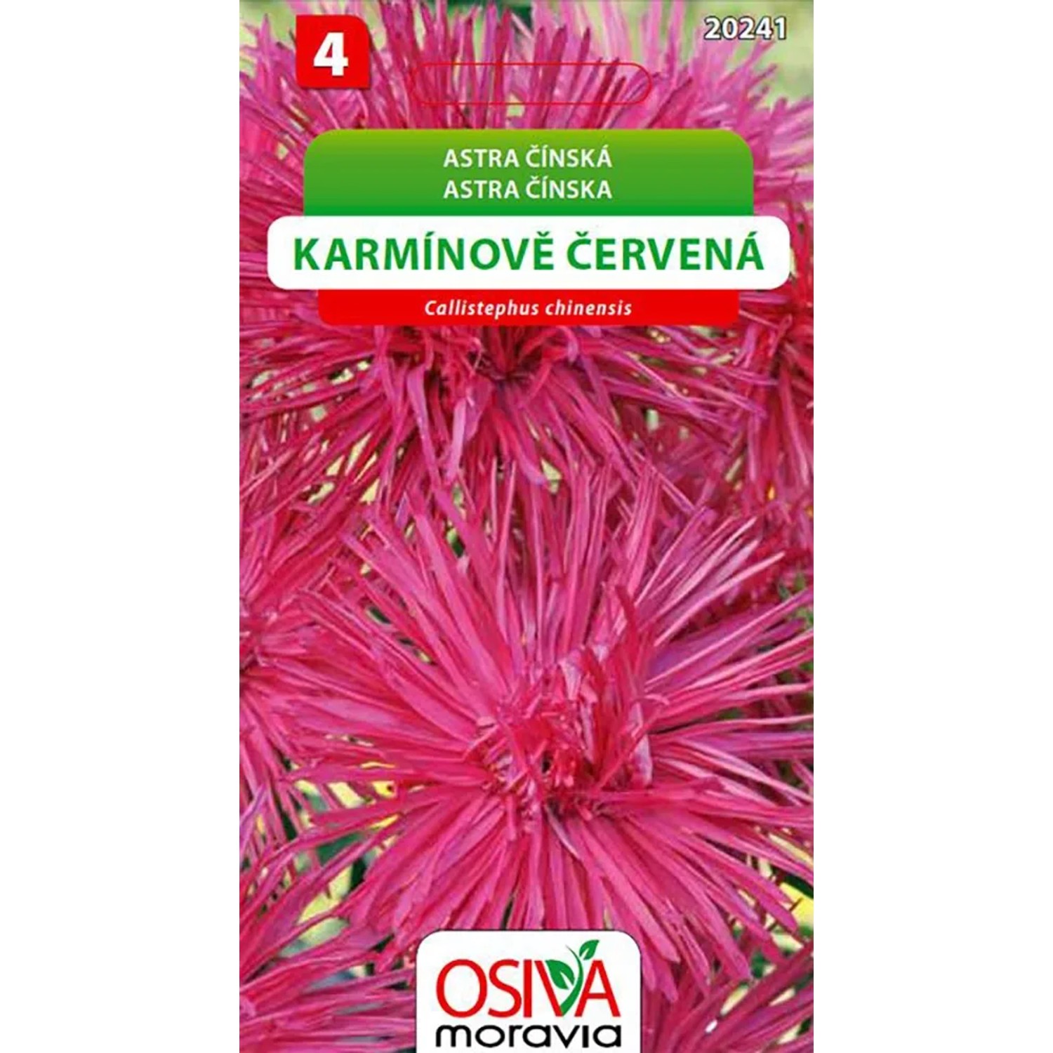 E-shop OSIVA Moravia Astra čínska - karmínovo červená (Callistephus chineasis)
