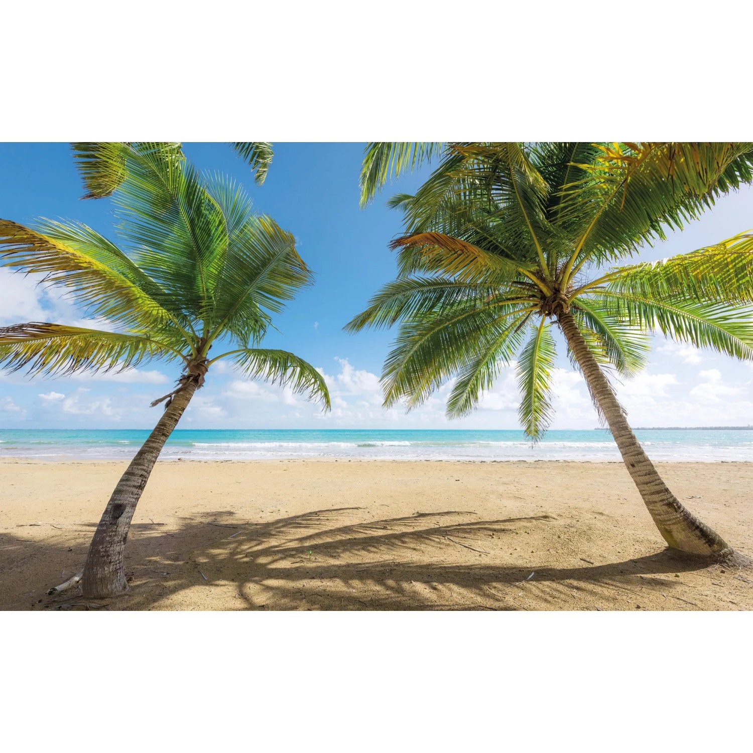 E-shop Komar Vliesová fototapeta Caribbean Days II 450 x 280 cm