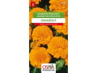 Semienka Aksametnica rozložitá, oranžová (Tagetes patula nana double)