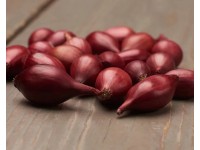 GardenSeed Premium BIO Cibuľa sadzačka Red Baron 300 g