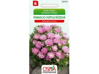 Semienka Astrovka čínska Pinnocio Dwarf, sv. ružový (Callistephus chinensis)
