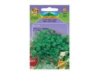 Gardenie Semienka Trebuľka voňavá