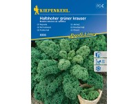 Kiepenkerl Semienka Kel Halbhoher grüner kraus