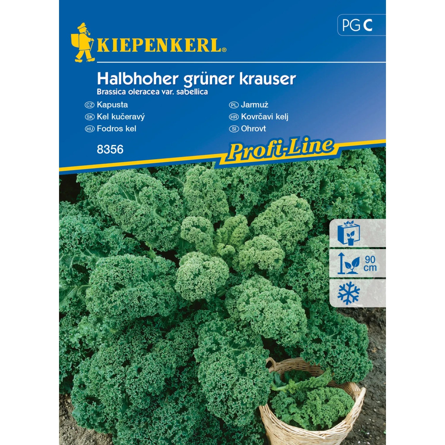 E-shop Kiepenkerl Semienka Kel Halbhoher grüner kraus