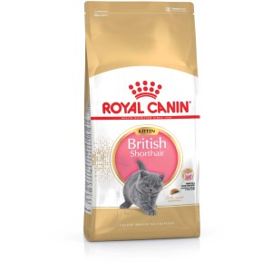 Royal Canin British Shorthair Kitten suché krmivo, 2kg balenie pre mačiatka BKH.
