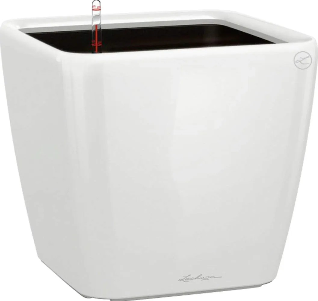 LECHUZA Quandro Premium LS 50 – Maceta Con Autorriego, Gris Pardo Brillante, Fabricada En Alemania