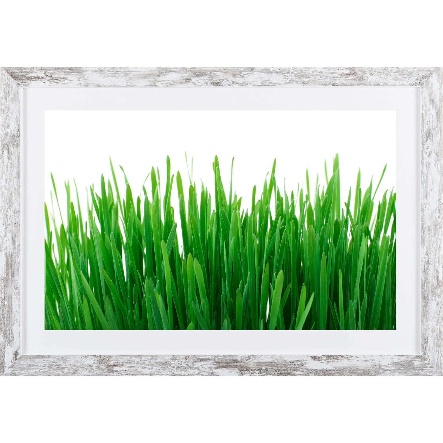 E-shop Bondecor Obraz v modernom ráme Green 37 x 53 cm