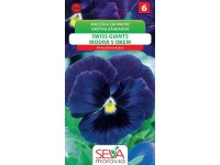 Semienka Sirôtka záhradná Swiss Giants modrá s okom (Viola wittrockiana)