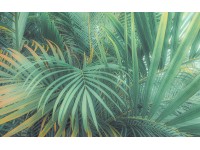 Komar Samolepiace vliesové fototapety Foggy Fern 400 x 250 cm