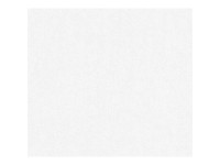 A. S. Creation Pretierateľná vliesová tapeta Meistervlies Creativ biela 305817