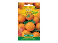 Gardenie Rajčiak kolíkový ZLATAVA oranžový