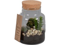 Kaktusový aranžmán v sklenenej nádobe priemer kvetináča cca 18 cm