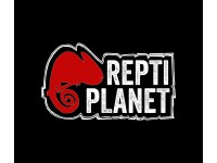 Repti Planet