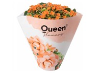 GROW by OBI Kolopejka vďačná (Kalanchoe) jednokvetá oranžová 20-25 cm pr.105cm