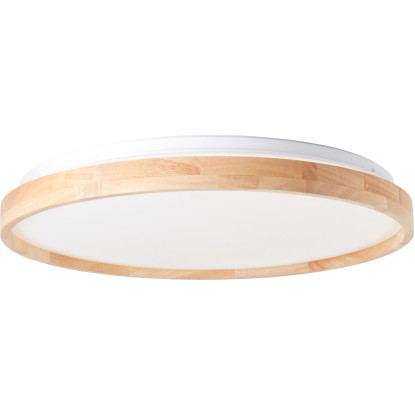Brilliant LED stropné svietidlo ALSON 28W 3300lm 3000-6500K pr. 49,5 x 7,5 cm