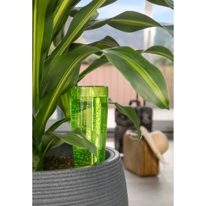 Zavlažovacia figúrka Scheurich Copa M Green (150 ml) v kvetináči s rastlinou.