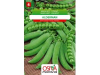 Semienka Hrach siaty kolíkový (Pisum sativum convar. medulare)