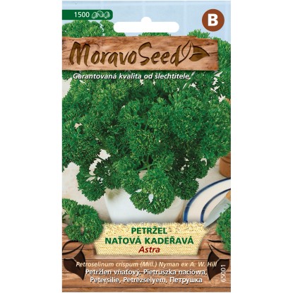 MoravoSeed Semienka Petržlen vňaťový Astra