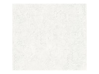 A. S. Creation Pretierateľná vliesová tapeta Meistervlies Creativ biela 321411