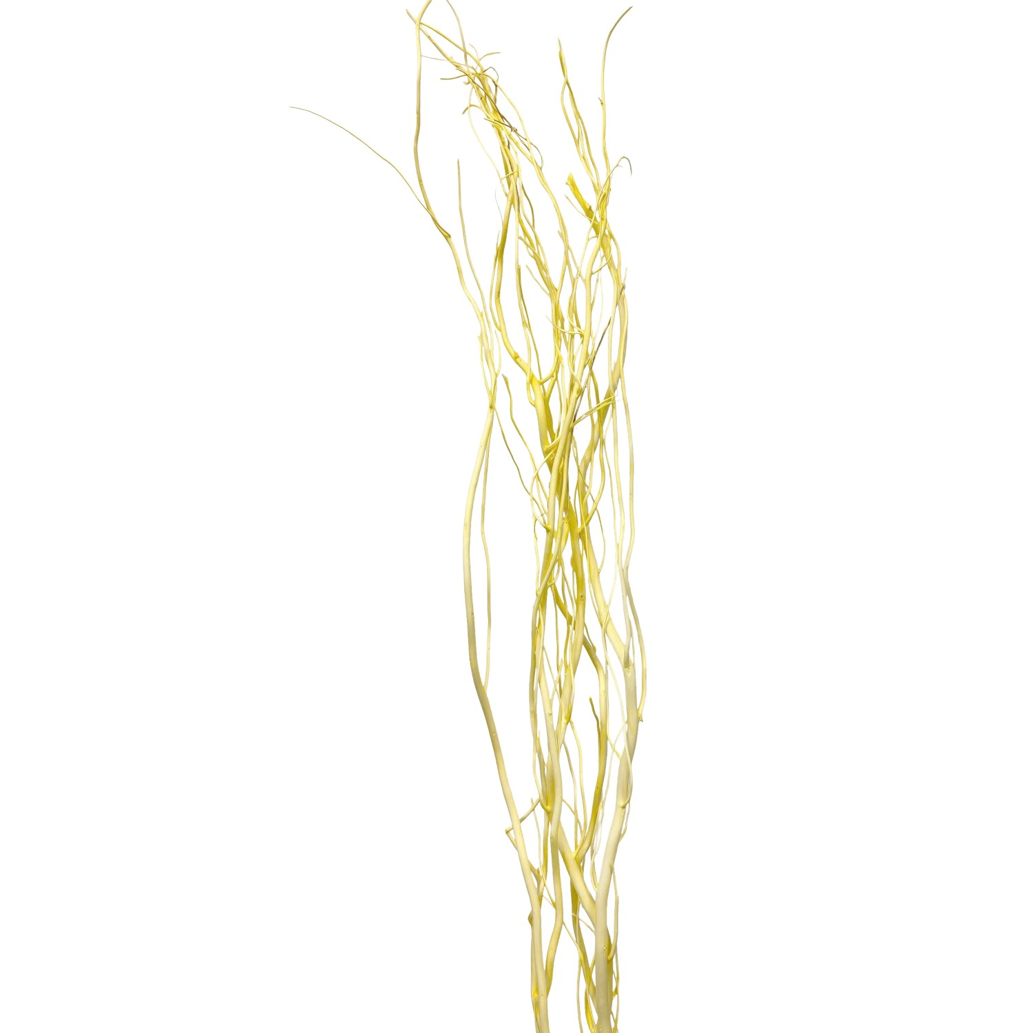 E-shop Star Home Decor Vŕbové vetvičky zväzok Salix pastelovo žlté 120 cm