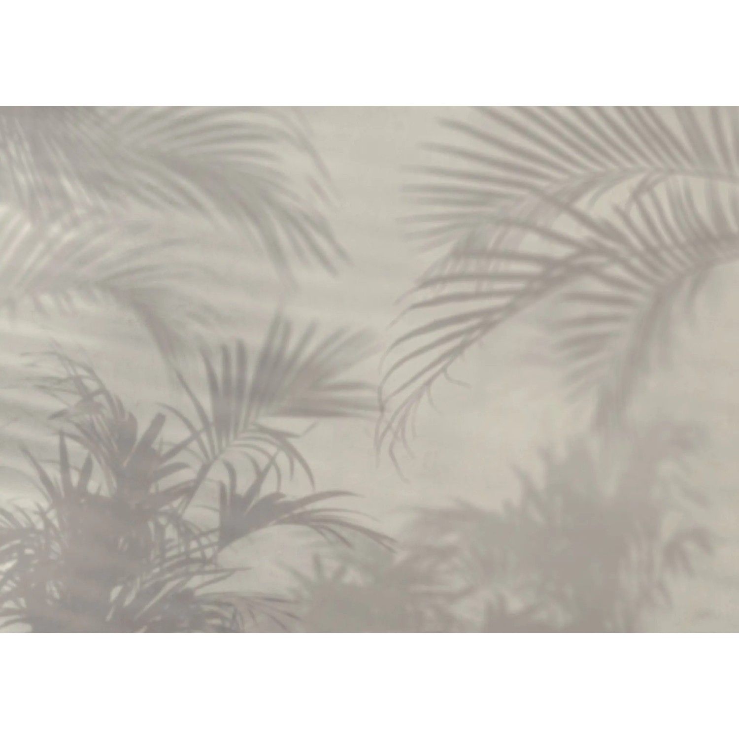 E-shop Komar Vliesová fototapeta Lumière 250 x 350 cm