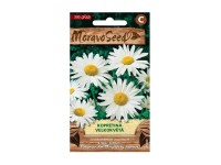 MoravoSeed Margaréta veľkokvetá biela