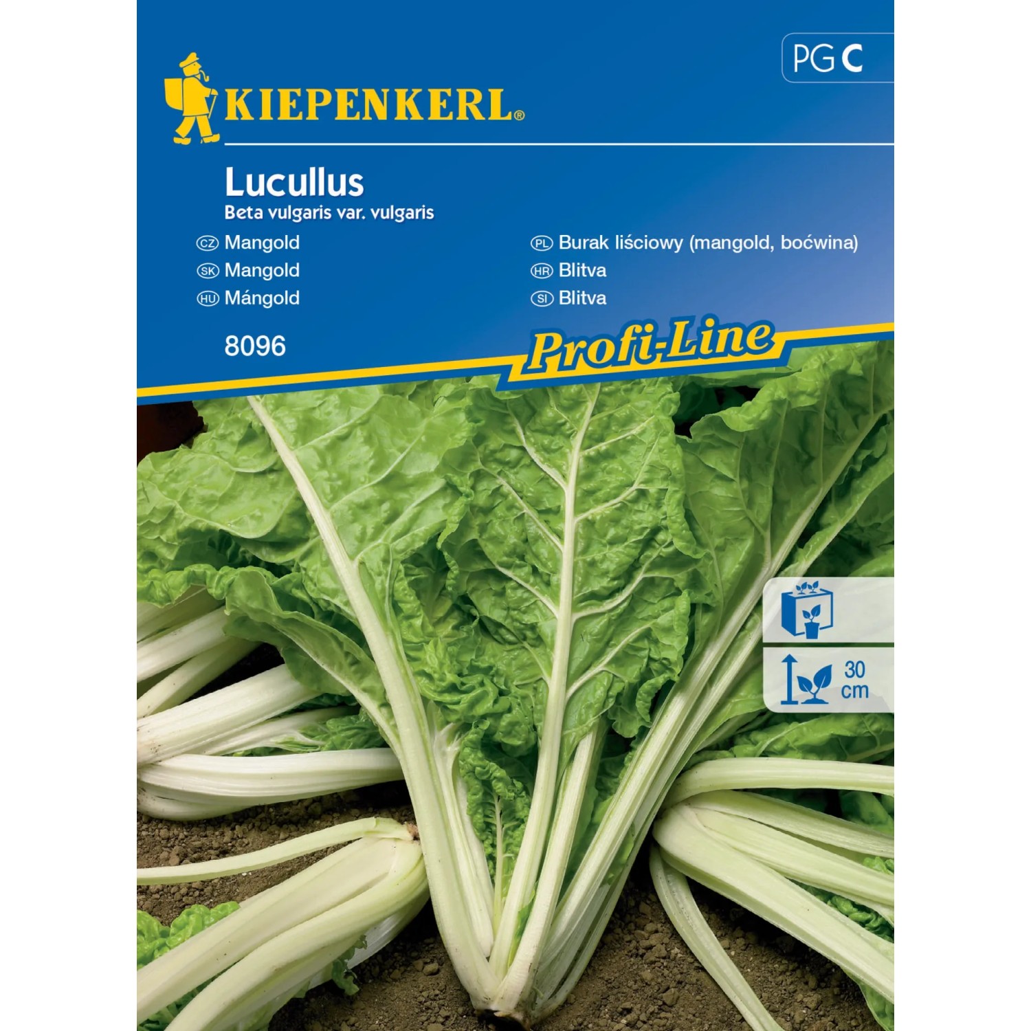 E-shop Kiepenkerl Semienka Mangold Lucullus