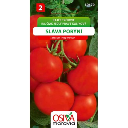 Semienka Rajčiak jedlý pravý kolíkový Sláva Porýní (Solanum lycopersicum)