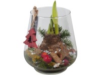 Aranžmán hvezdníka (Hippeastrum hybride) v sklenenej váze, pr. 18 cm