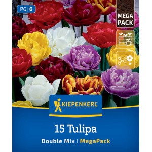 Kiepenkerl Mega-Pack 15 cibuliek plnokvetých tulipánov v žiarivých farbách: červená, žltá, biela, fialová.