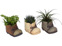 Zelená rastlina v keramickej topánke priemer kvetináča cca 14 cm