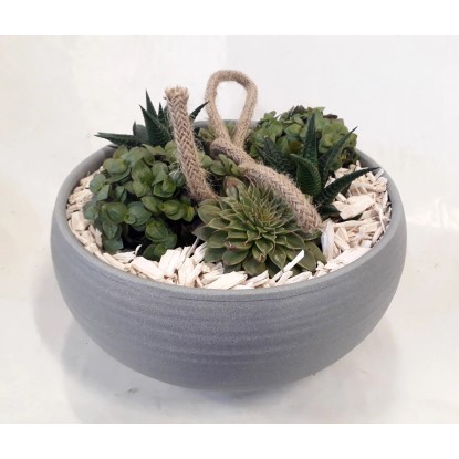 Aranžmán z listnatých rastlín v sivej miske priemer kvetináča cca 23 cm