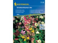 Kiepenkerl Semienka Zmes kvetov do tieňa