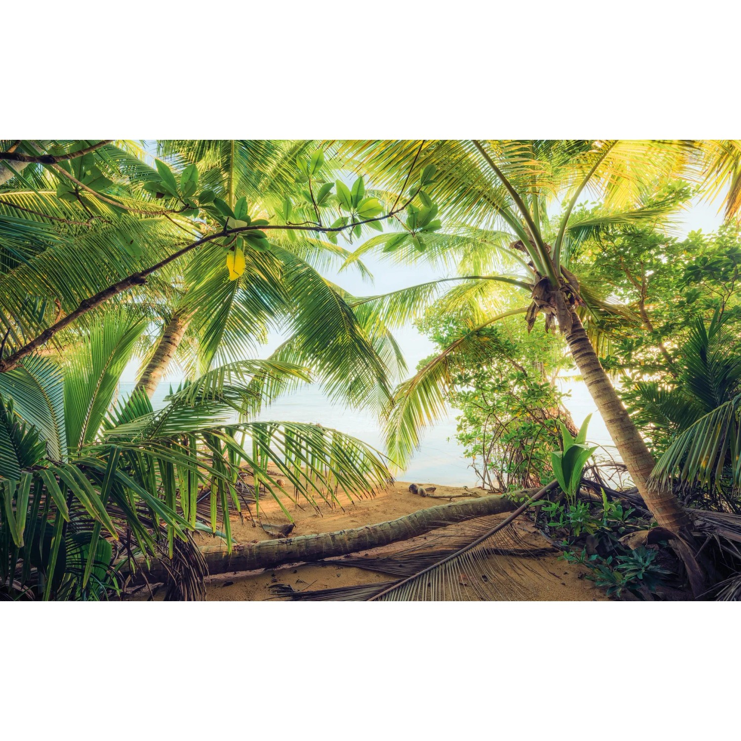 E-shop Komar Vliesová fototapeta Piratever 450 x 280 cm