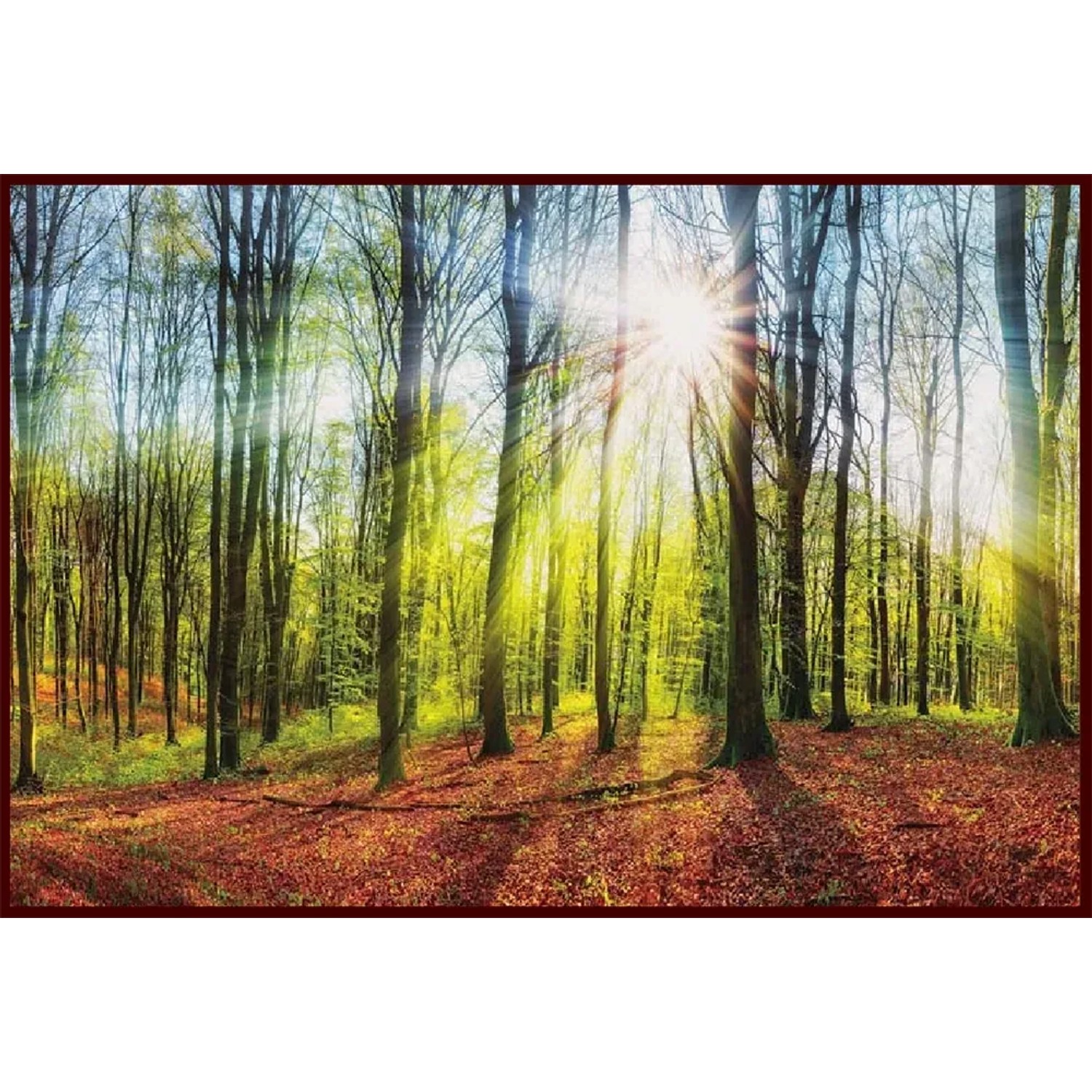 E-shop Bondecor Obraz Putframe Sun 50 x 70 cm