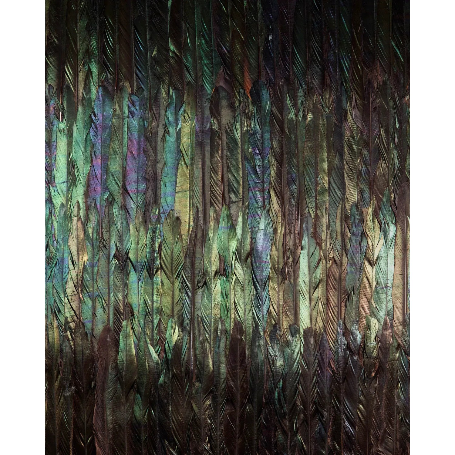 E-shop Komar Vliesová fototapeta Dark Wings 200 x 250 cm