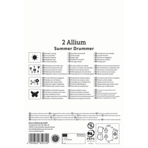 Balenie 2 cibuliek okrasného cesnaku Kiepenkerl Summer Drummer. Info o slnečnom mieste, rezaných kvetoch, hmyze.