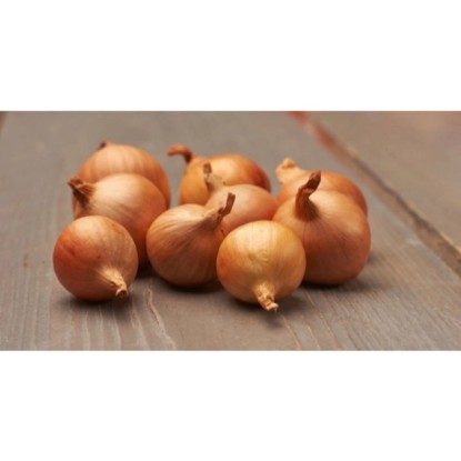 GardenSeed Premium Sadbová šalotka Golden Gourmet 500 g