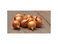 GardenSeed Premium Sadbová šalotka Golden Gourmet 500 g