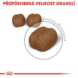 Royal Canin Oral Care krmivo pre mačky: Granule suchého krmiva v upravenej veľkosti.