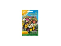 Gardenie Kvety PICCOLI AMICI pre lienky 5 g Gardenie Kvety PICCOLI AMICI pre lienky 5 g