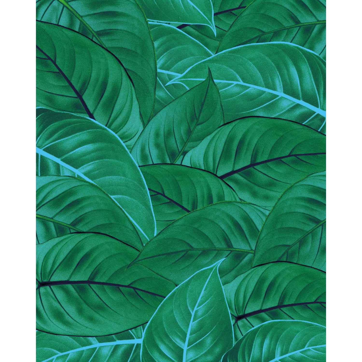 E-shop Komar Vliesová fototapeta Jungle Leaves 200 x 250 cm