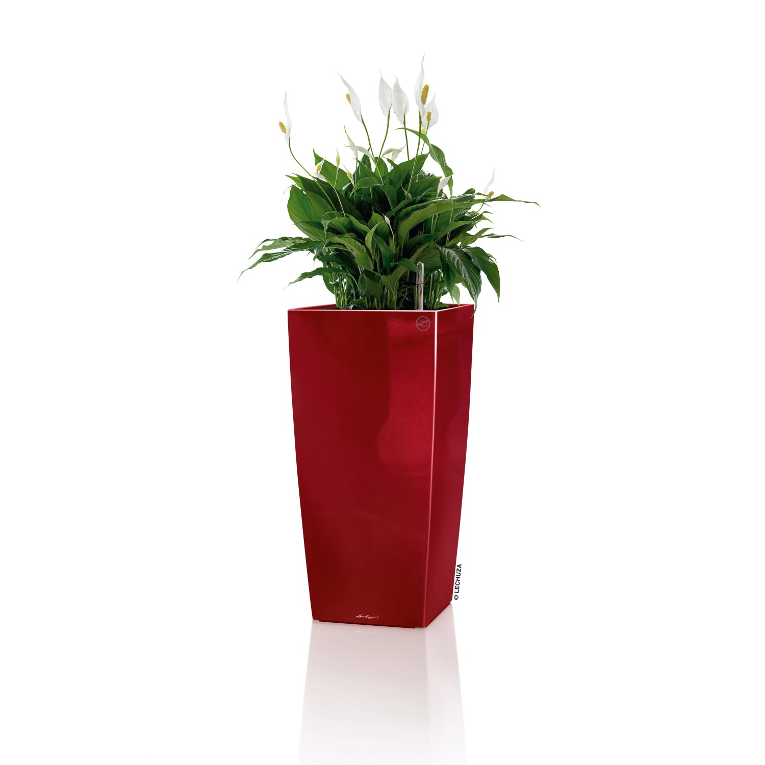 E-shop Lechuza Kvetináč Cubico Premium 22, červená vysoko lesklá, 22 x 22 x 41 cm