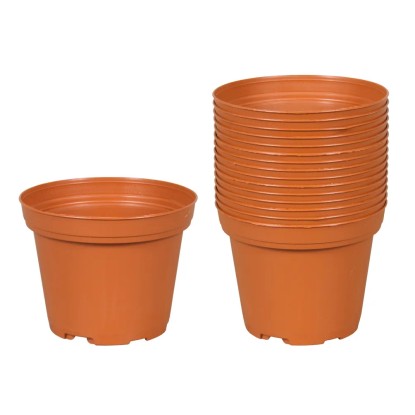 Kvetináč Classic Tod terakota, pr. 8 cm, 15 ks