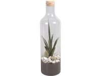 Green Bottle® Mix kaktusov v sklenenej fľaši pr. kvetináča cca 15 cm