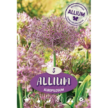 Allium Albopilosum