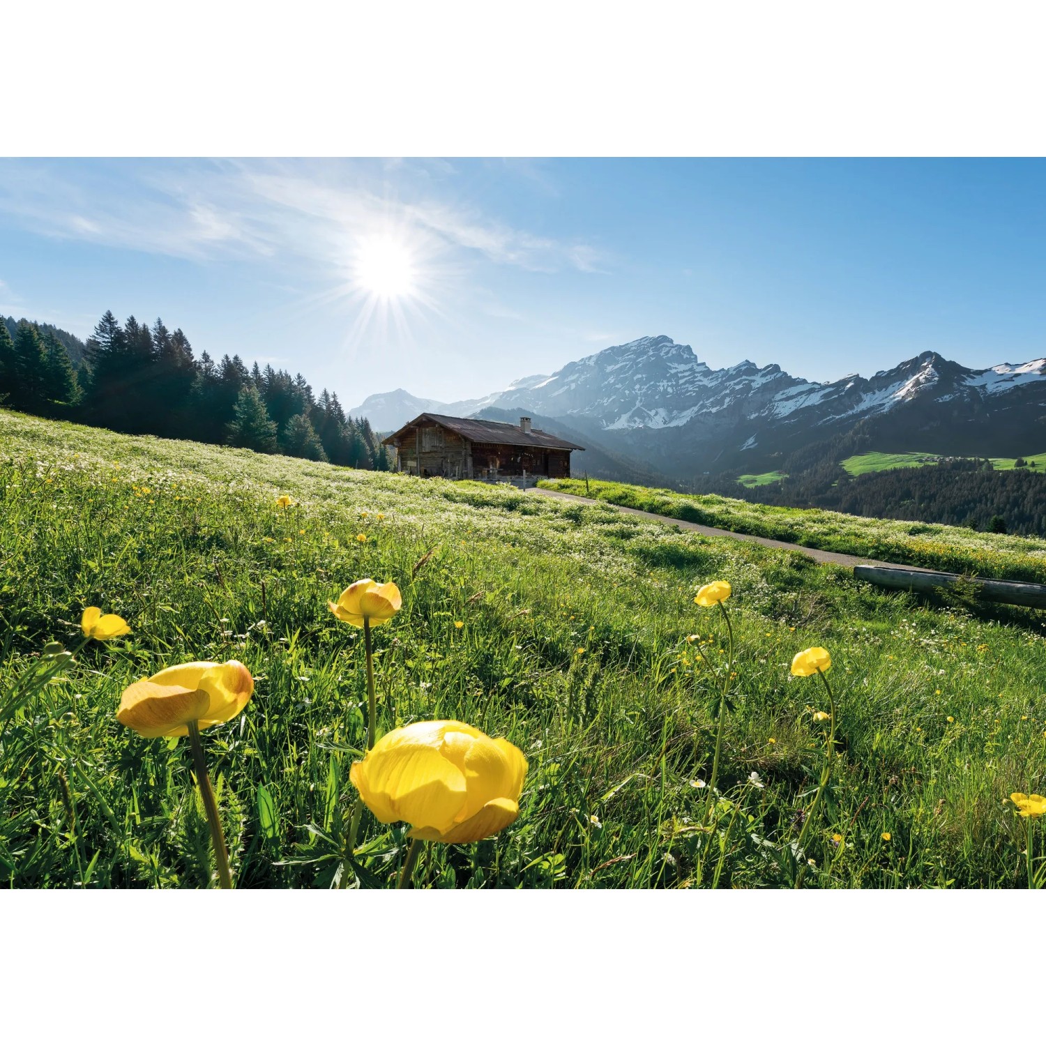 E-shop Komar Vliesová fototapeta Alpenglück 400 x 280 cm