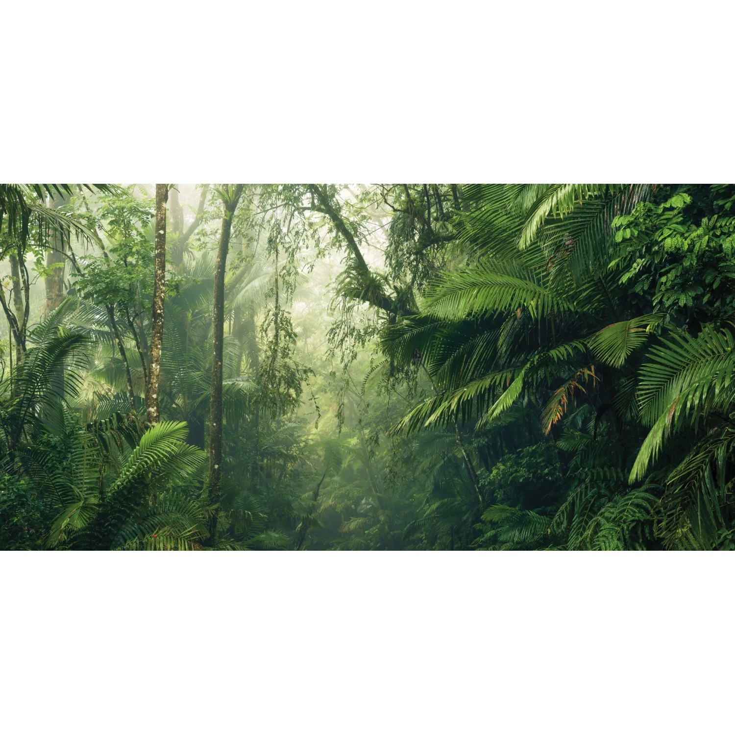 E-shop Komar Vliesová fototapeta Tropenwelten 500 x 250 cm